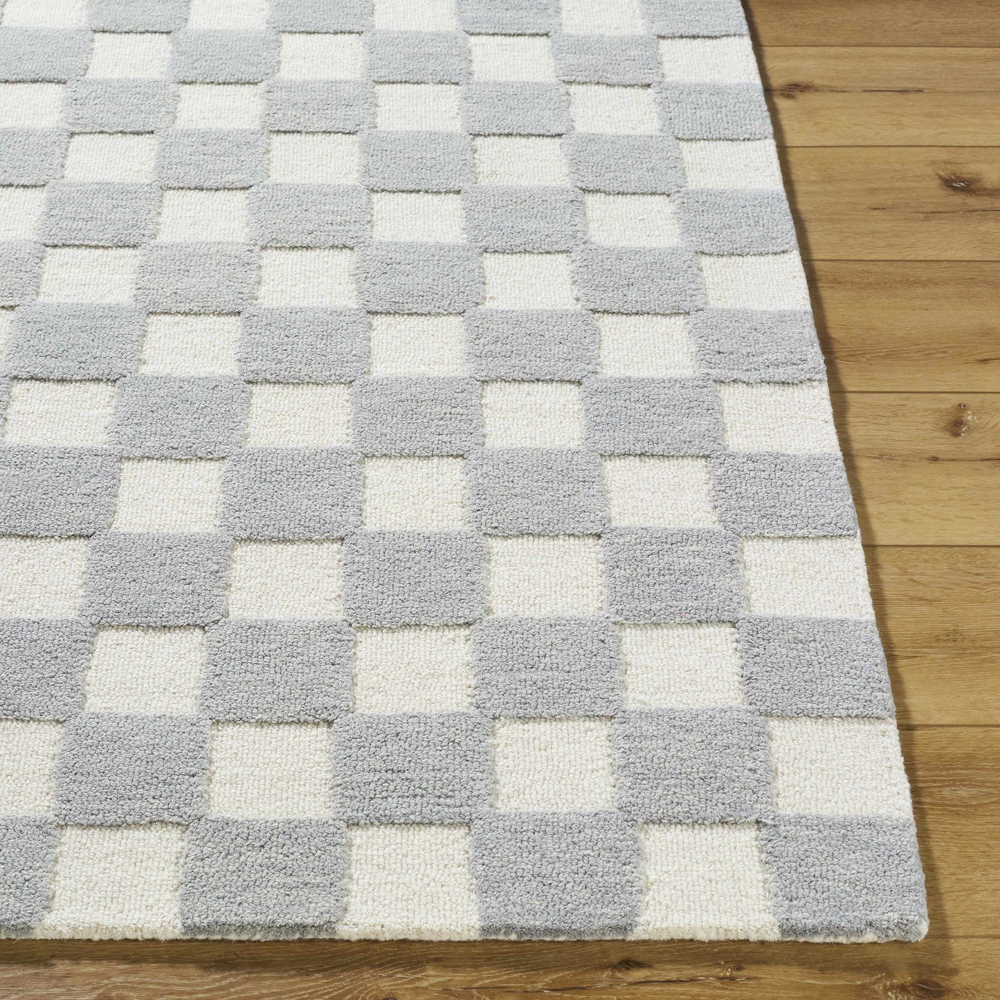 Amparo Medium Gray Area Rug