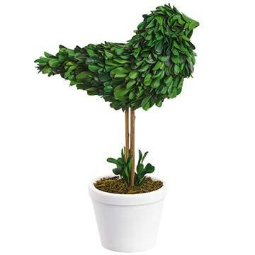 11.5" Preserved Boxwood Bird in Clay Pot-0