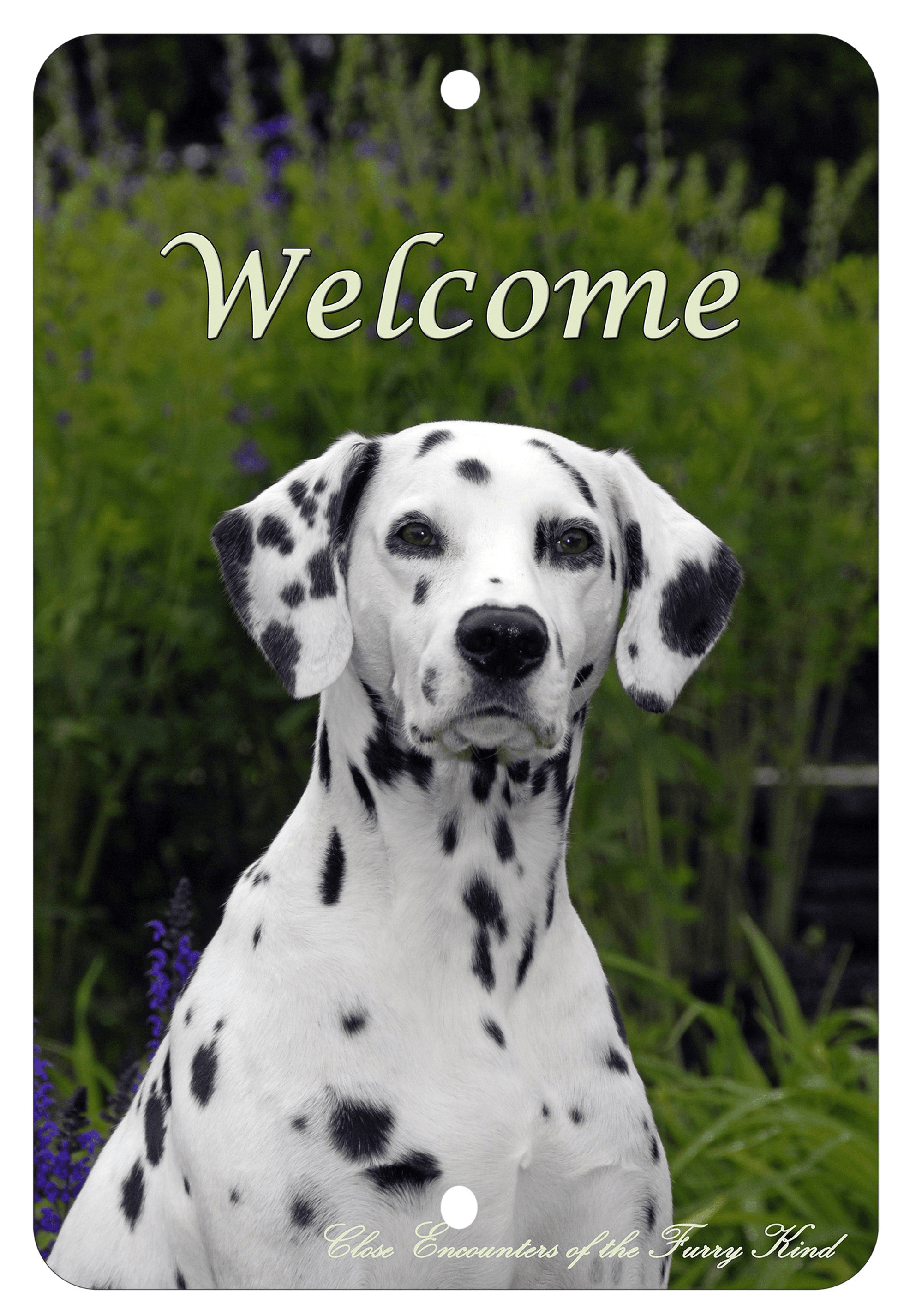 Dalmatian Best Of Breed Aluminium Indoor/Outdoor Sign-2
