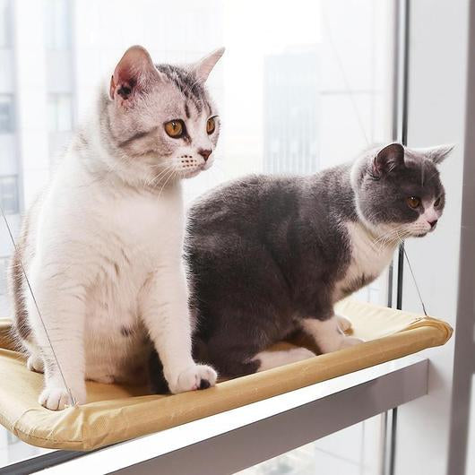 Cat Window Seat Hammock-2