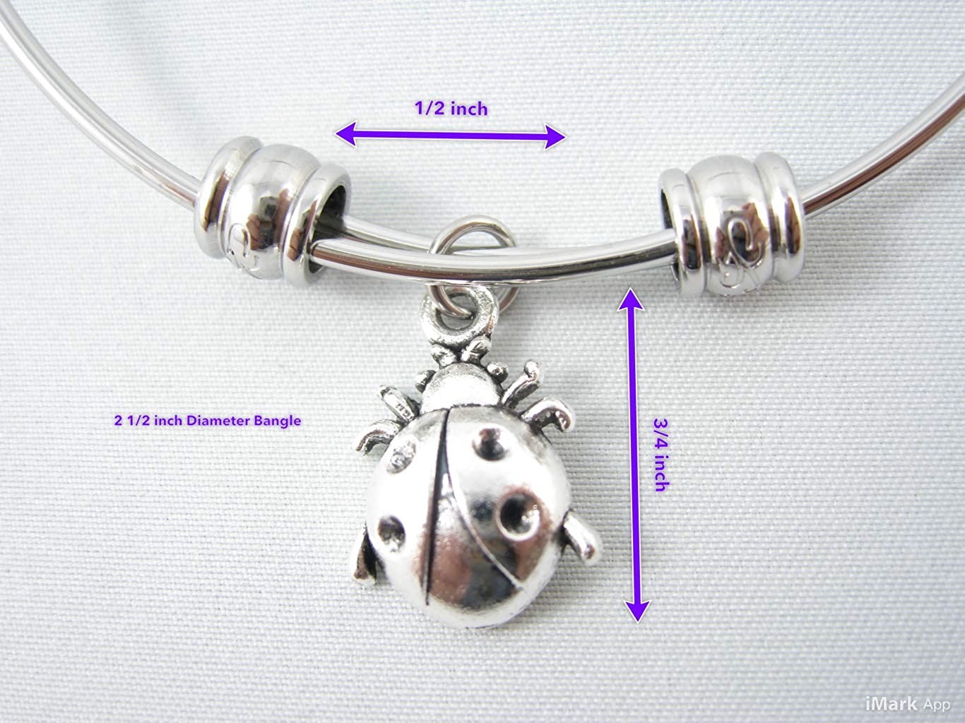 Lady Bug Bracelet for Women | Ladybugs Jewelry Hypoallergenic Stainless Steel Bangle for Sensitive Skin Great Lady Bug Bracelets and Ladybug Things for Women and Ladybug Charm Bracelet for Women-1