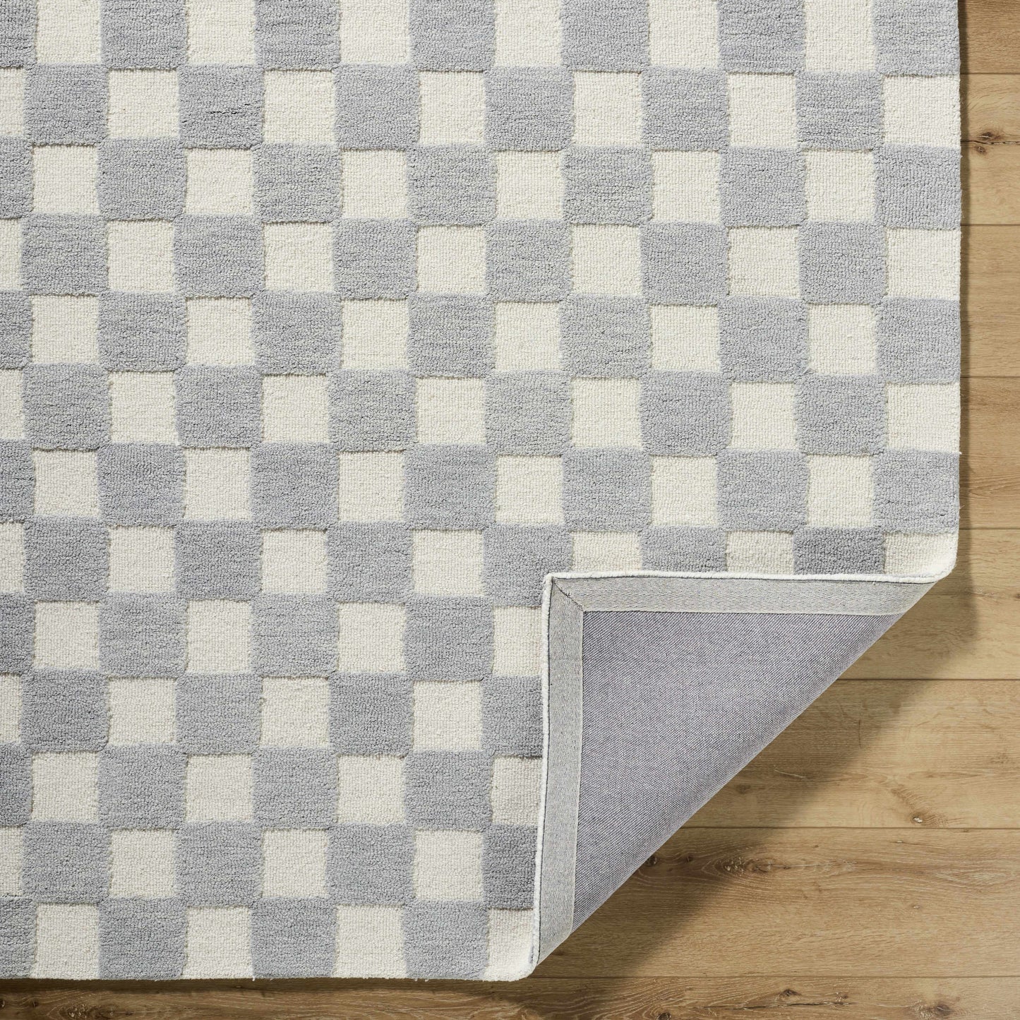 Amparo Medium Gray Area Rug