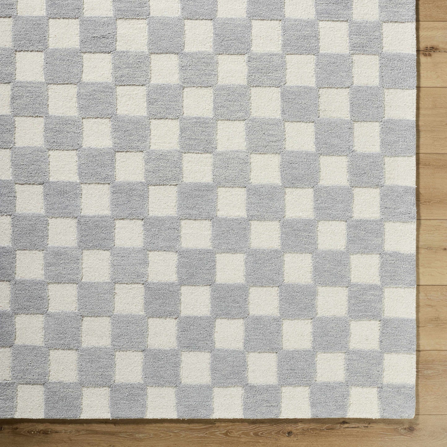 Amparo Medium Gray Area Rug