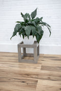 Cube Plant Stand-0