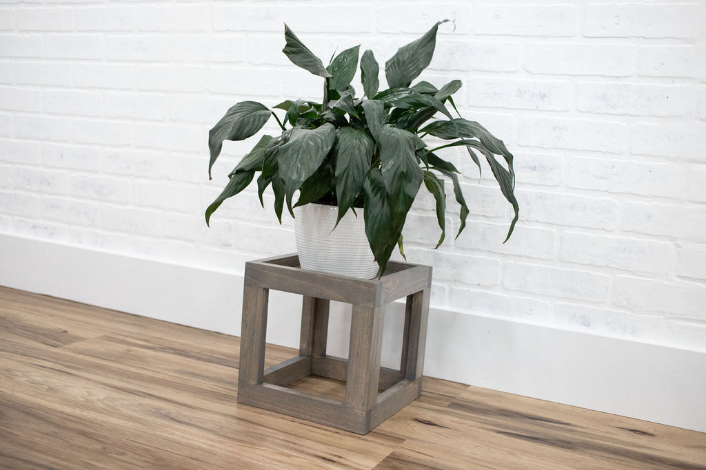 Cube Plant Stand-1