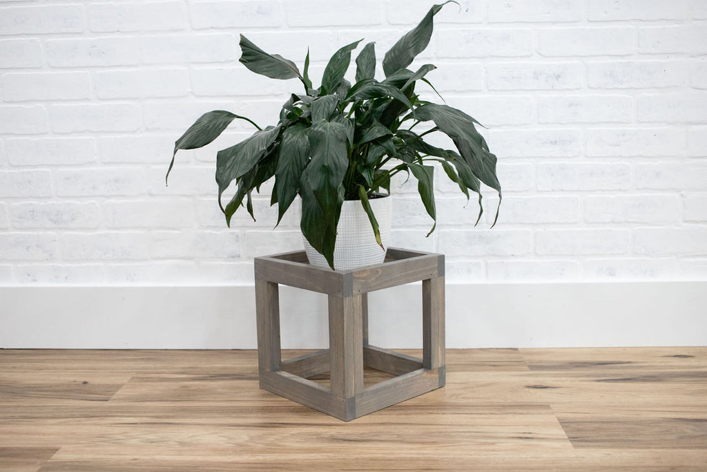 Cube Plant Stand-2