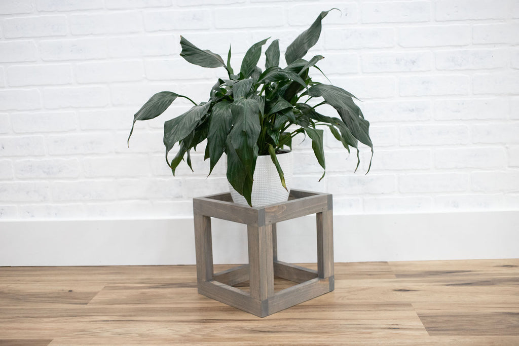 Cube Plant Stand-3