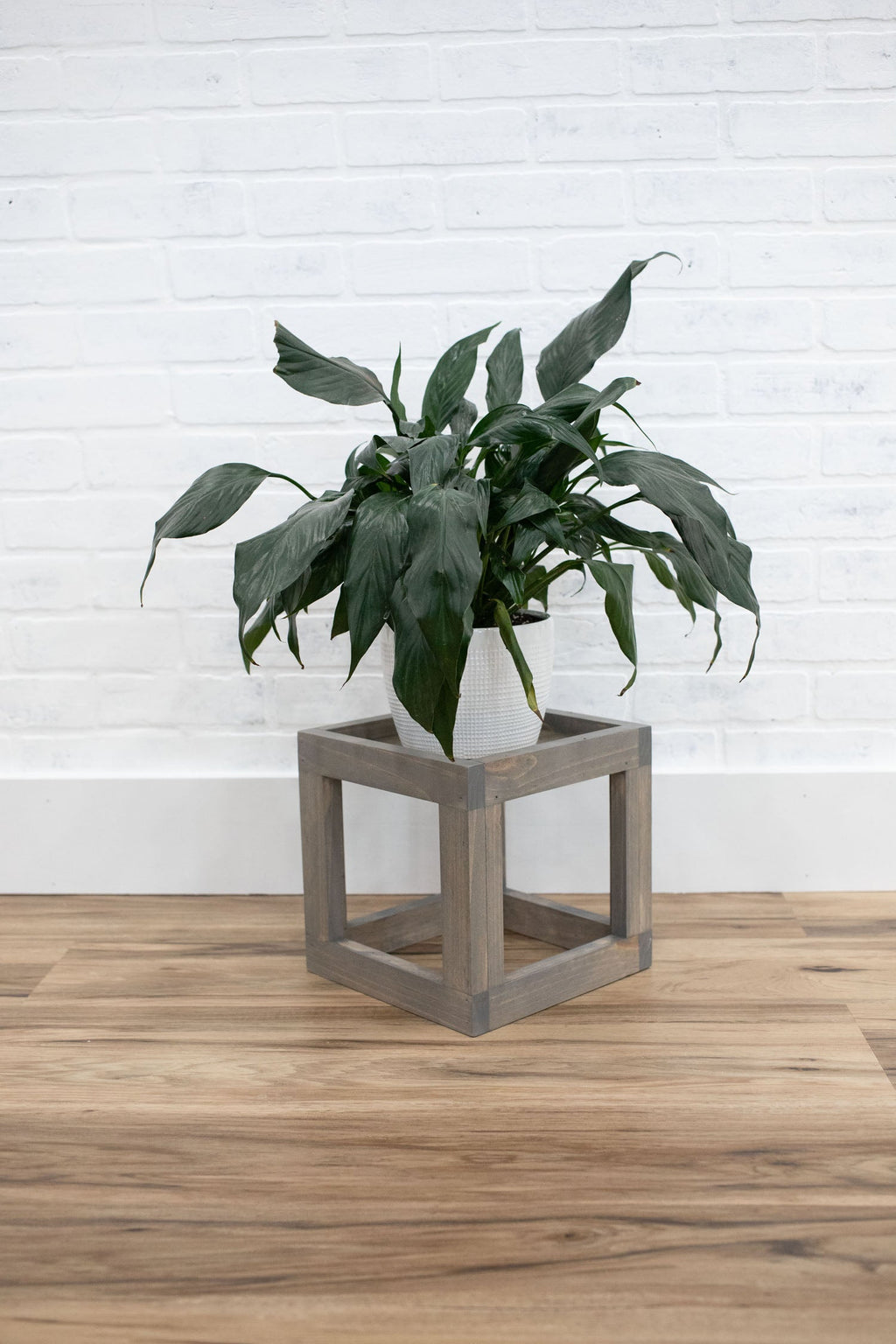 Cube Plant Stand-4