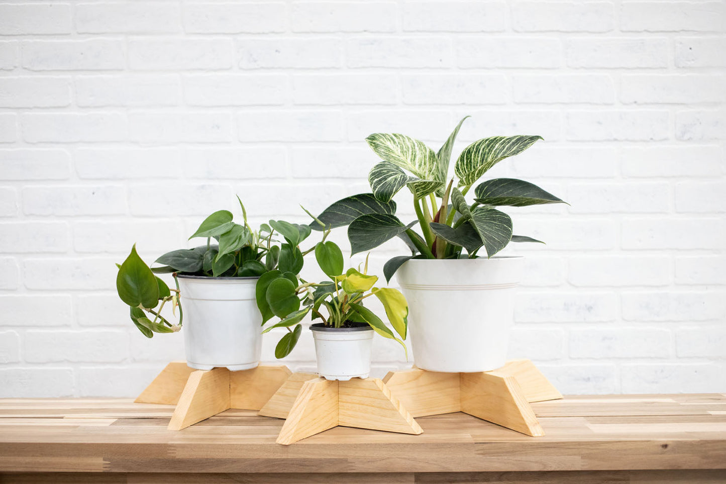 Set of 3 Elevated Wood Plant Stands-1