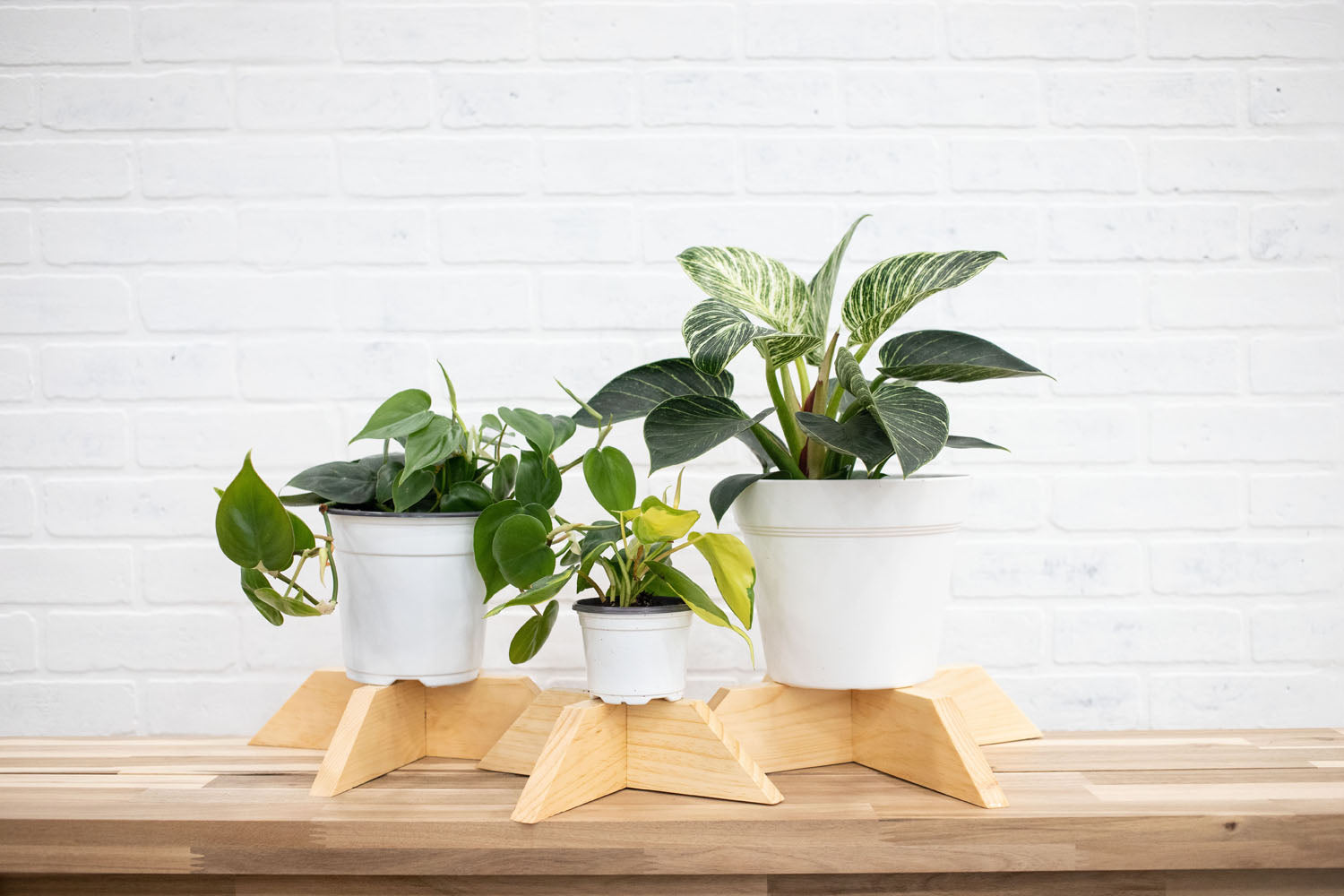 Set of 3 Elevated Wood Plant Stands-1