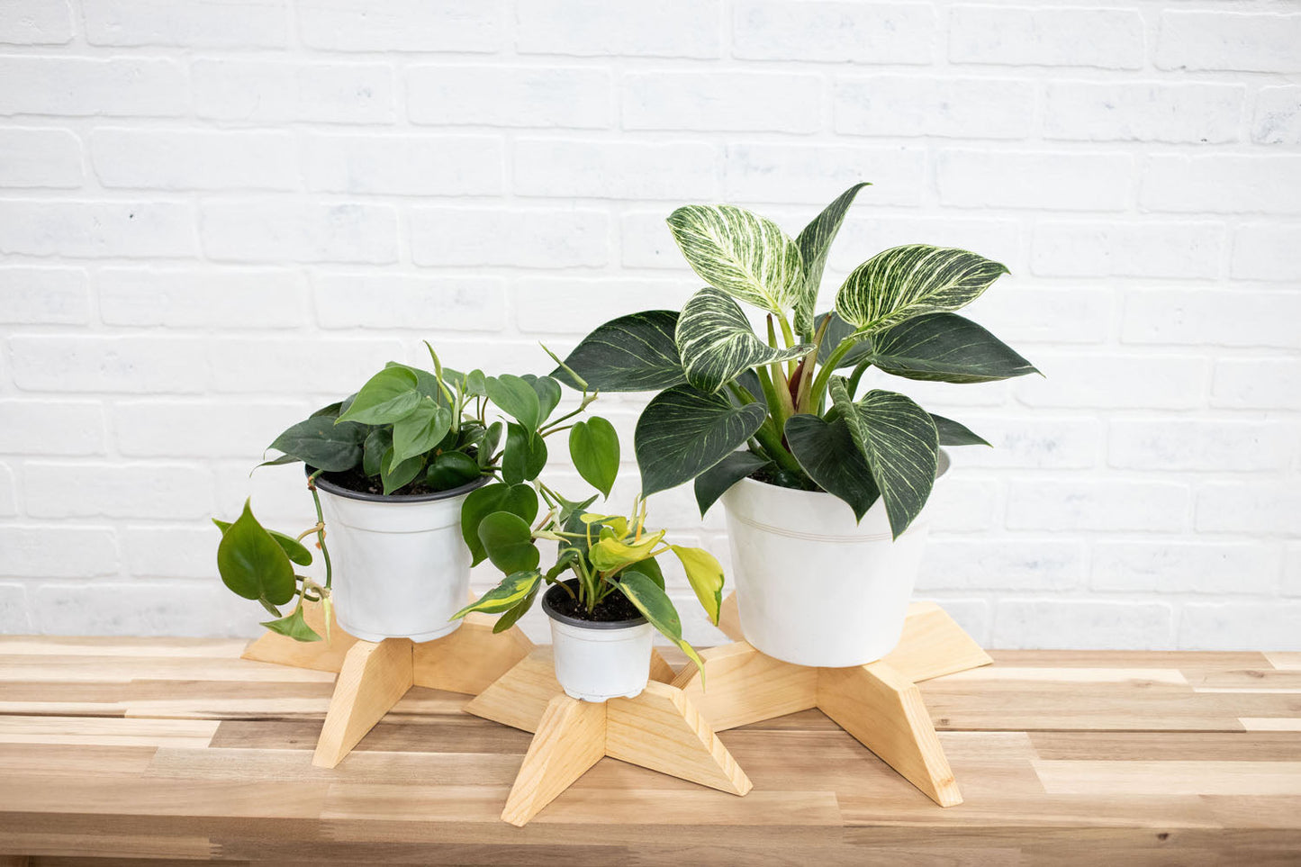 Set of 3 Elevated Wood Plant Stands-4