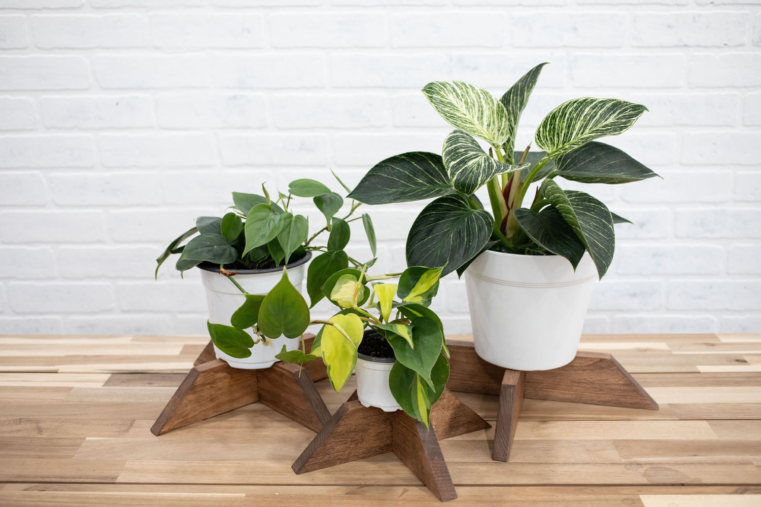 Set of 3 Elevated Wood Plant Stands-0