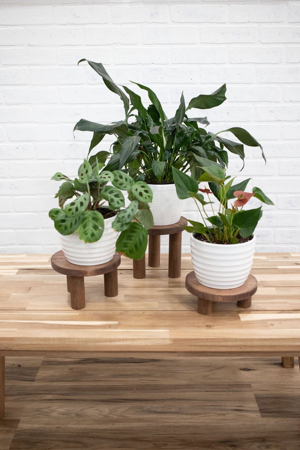 Pedestal Plant Stands, Set of 3 Wood Risers-1