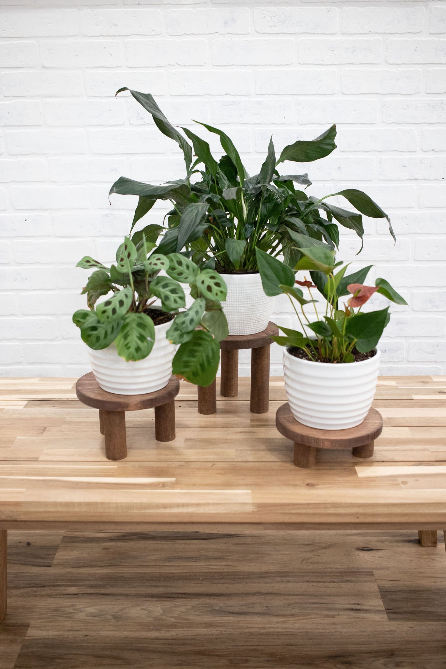 Pedestal Plant Stands, Set of 3 Wood Risers-1