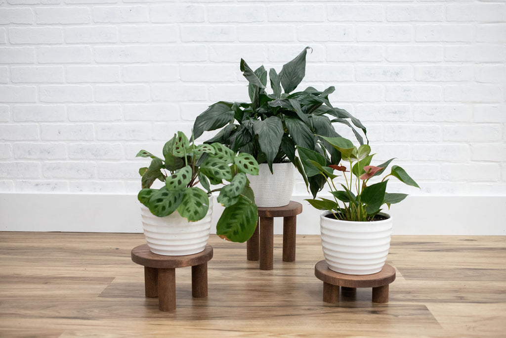 Pedestal Plant Stands, Set of 3 Wood Risers-3