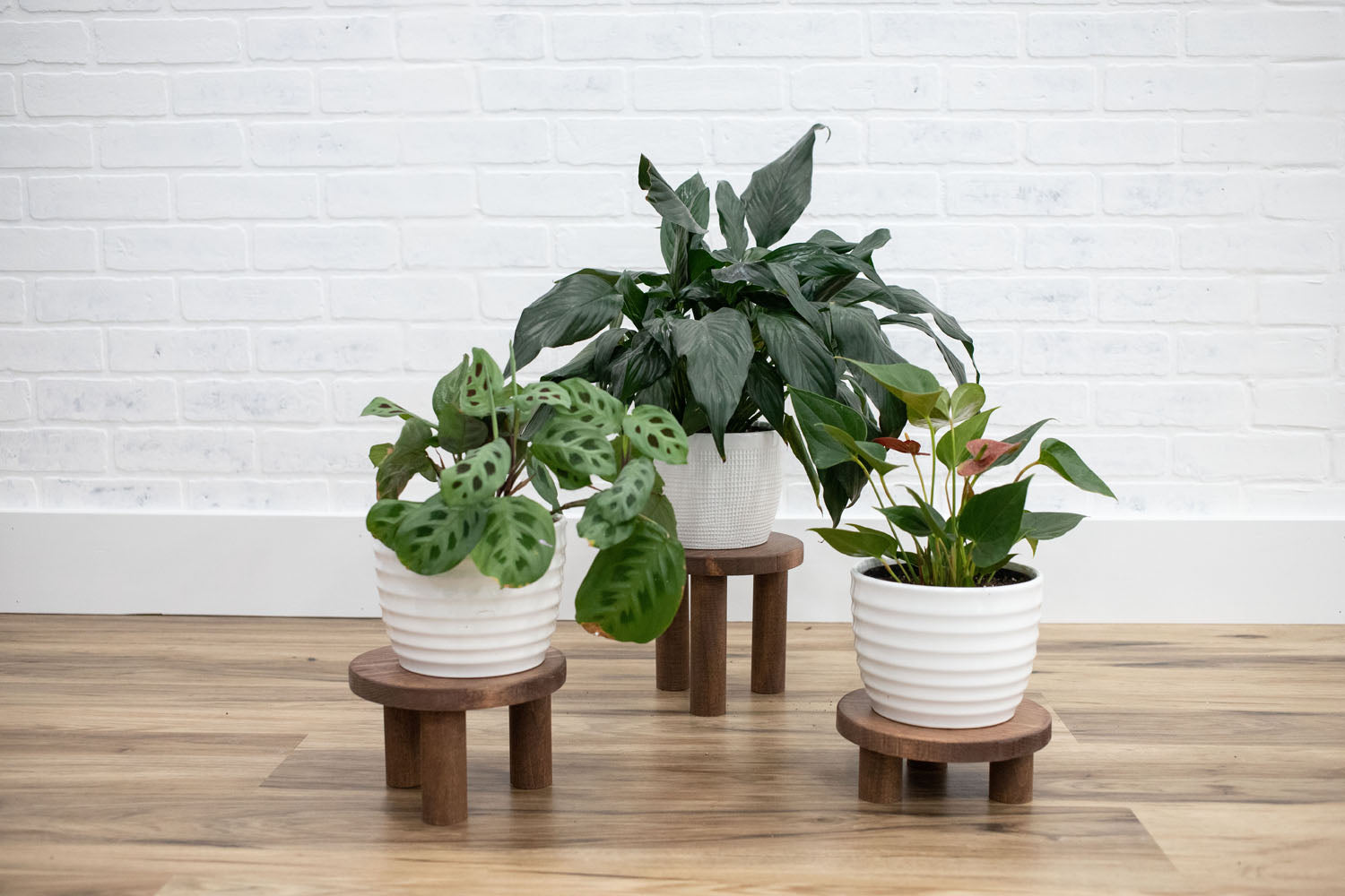 Pedestal Plant Stands, Set of 3 Wood Risers-3