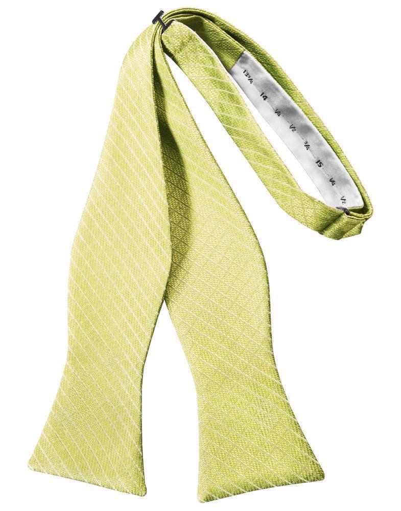 Palermo Bow Tie Self Tie-3