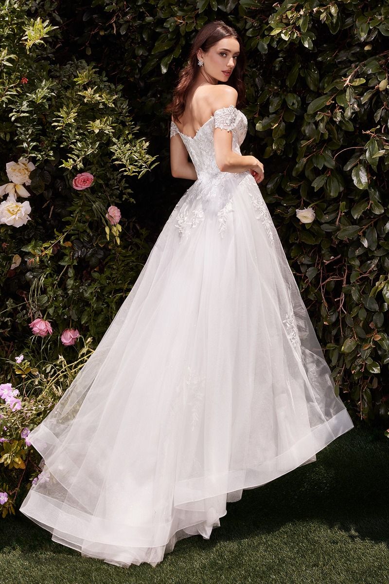 Off The Shoulder A-Line Lace & Tulle Wedding Dress-2