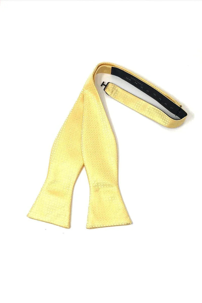 Regal Bow Tie Self Tie-4