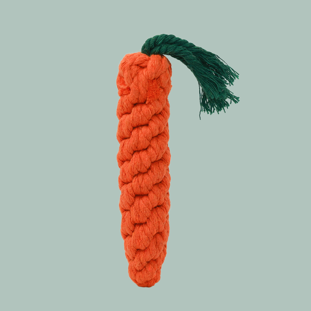 Monli Large Orange Carrot-1