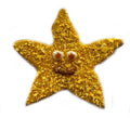 Starfish (Qty 12)-0