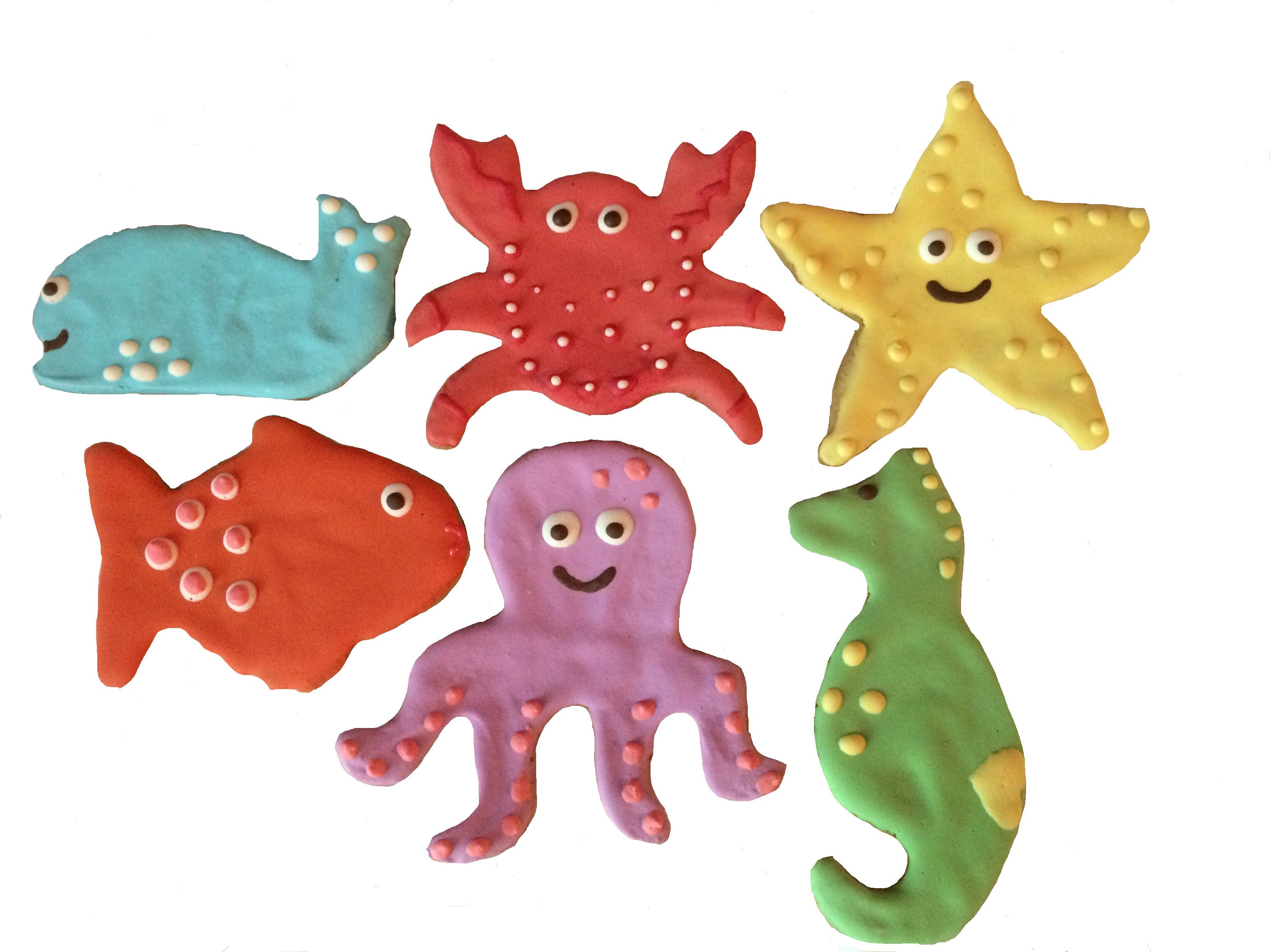 Under The Sea Assortment (12)-0
