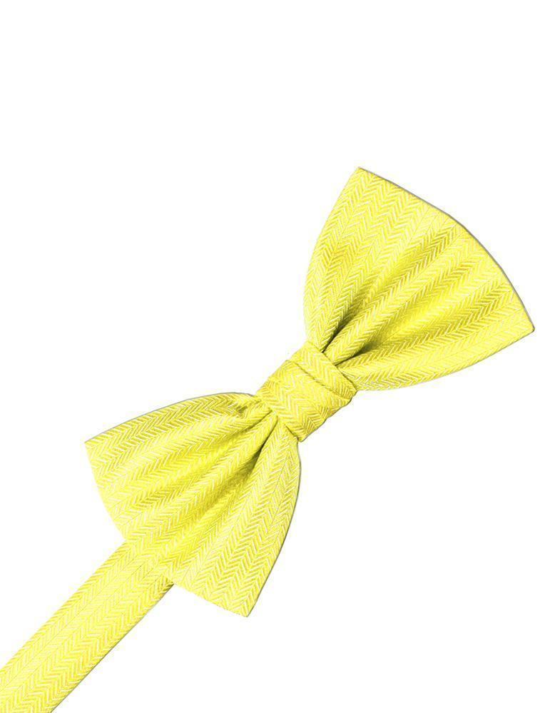 Herringbone Bow Tie-29