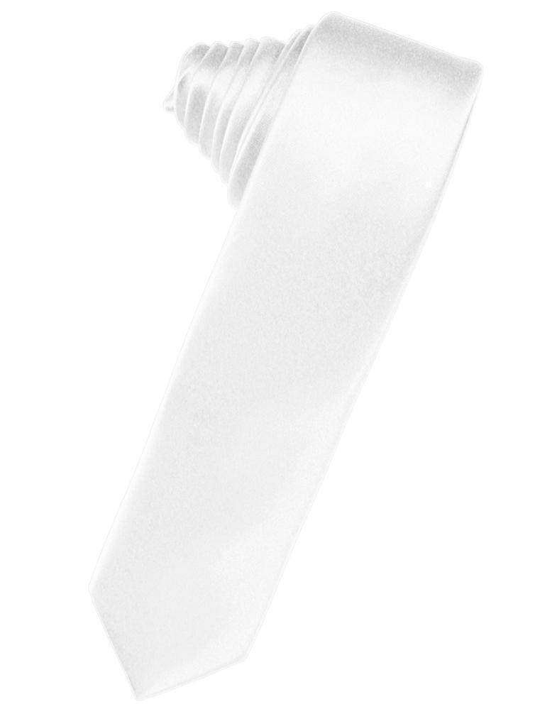 Luxury Satin Skinny Necktie Self Tie-67