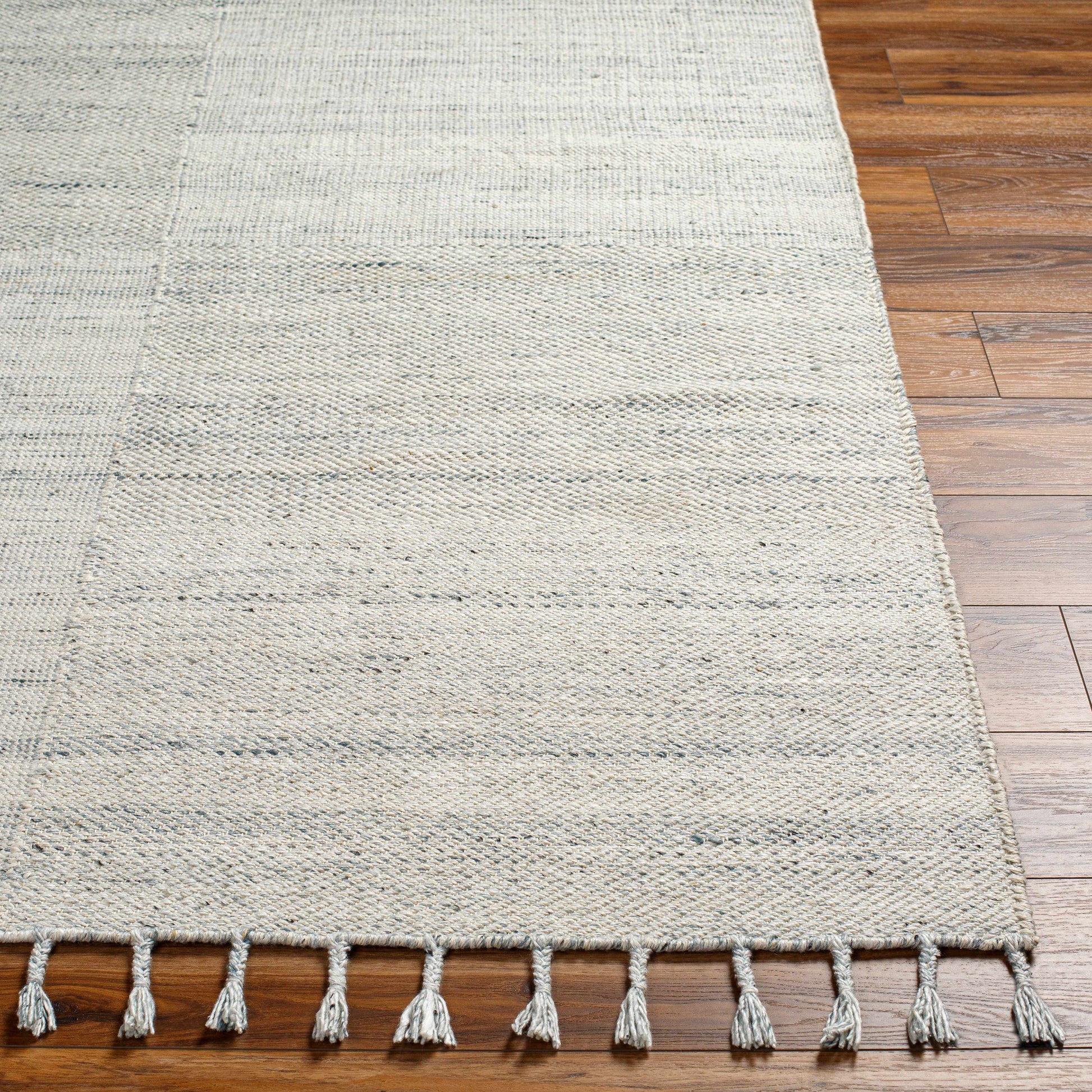 Anaya Beige & Blue Area Rug - Clearance-3