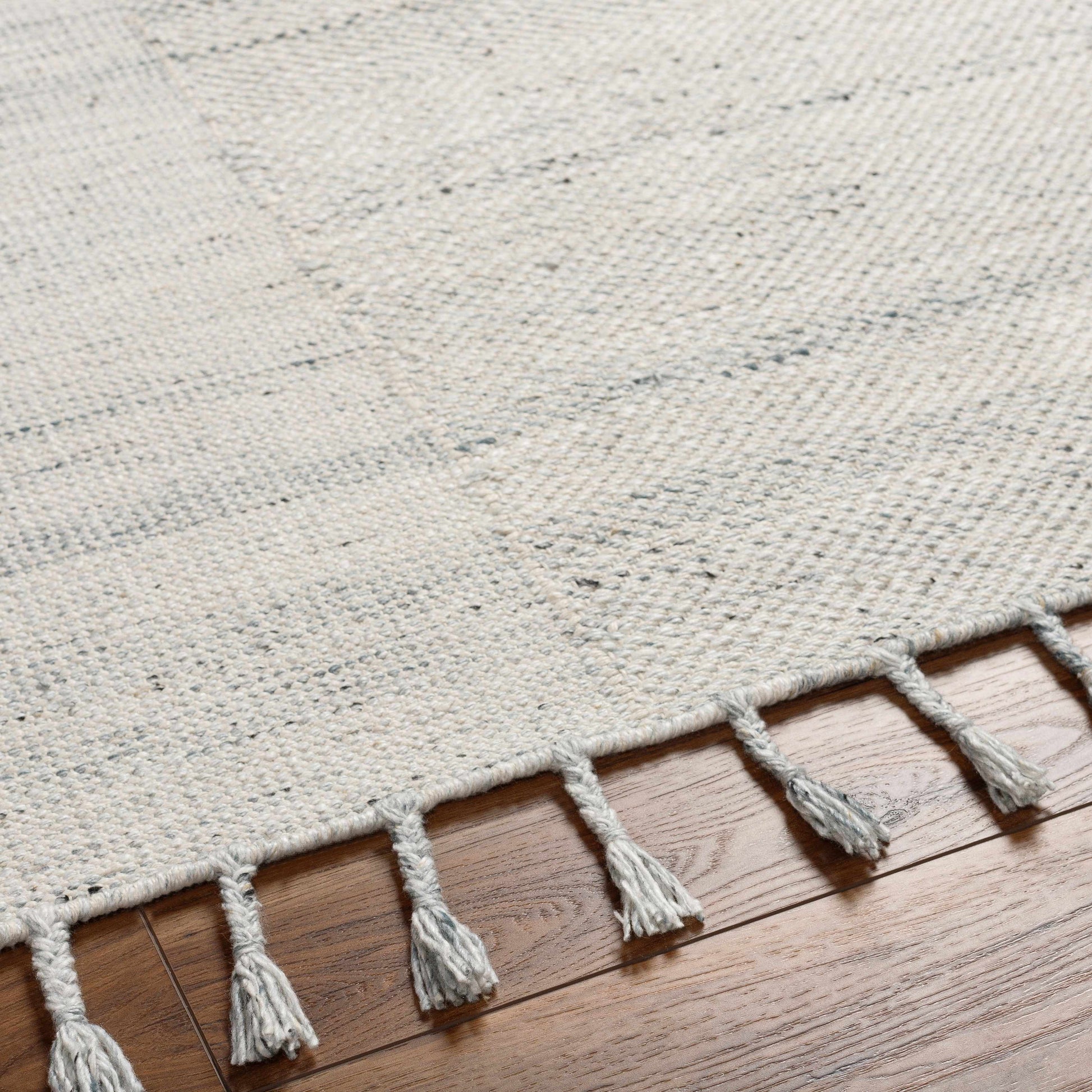 Anaya Beige & Blue Area Rug - Clearance-2