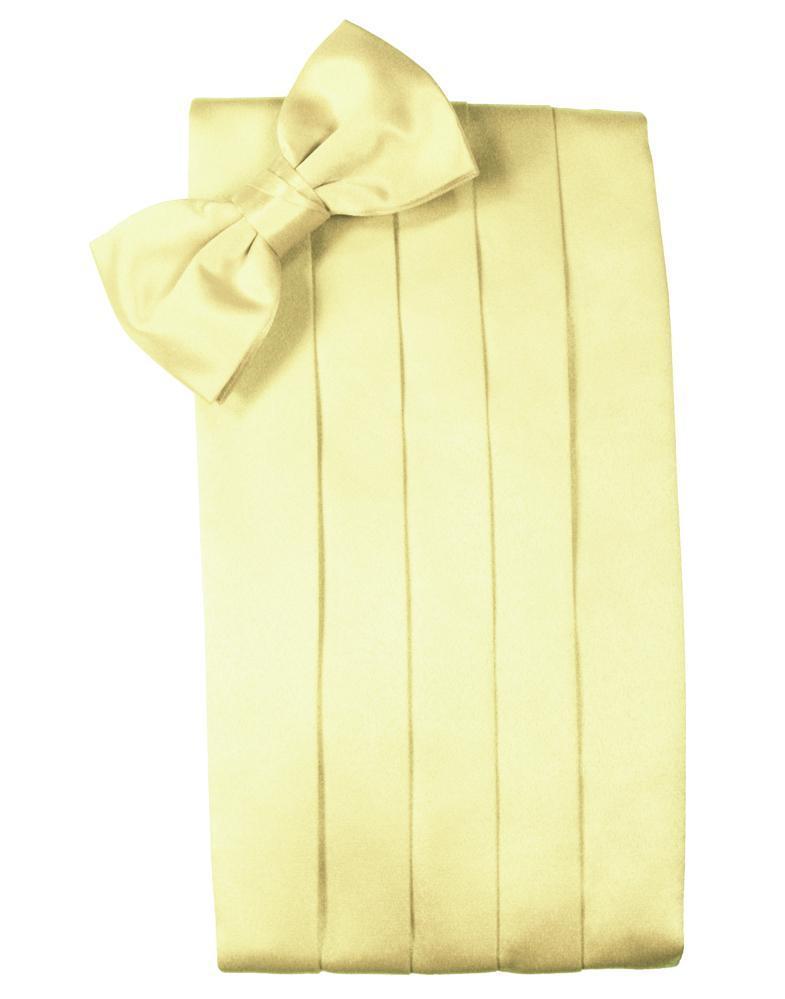 Set Luxury Satin Cummerbund & Bow Tie