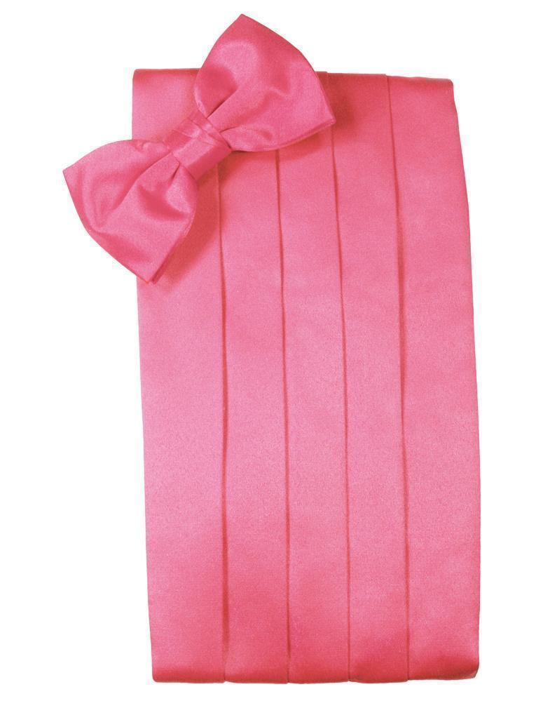 Set Luxury Satin Cummerbund & Bow Tie