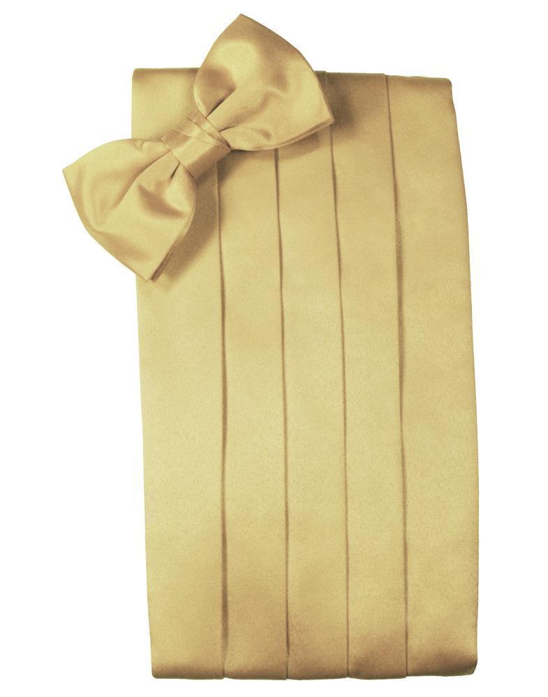 Set Luxury Satin Cummerbund & Bow Tie