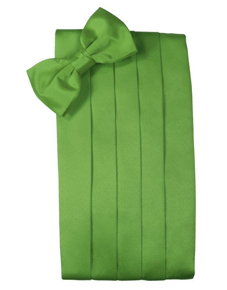 Set Luxury Satin Cummerbund & Bow Tie