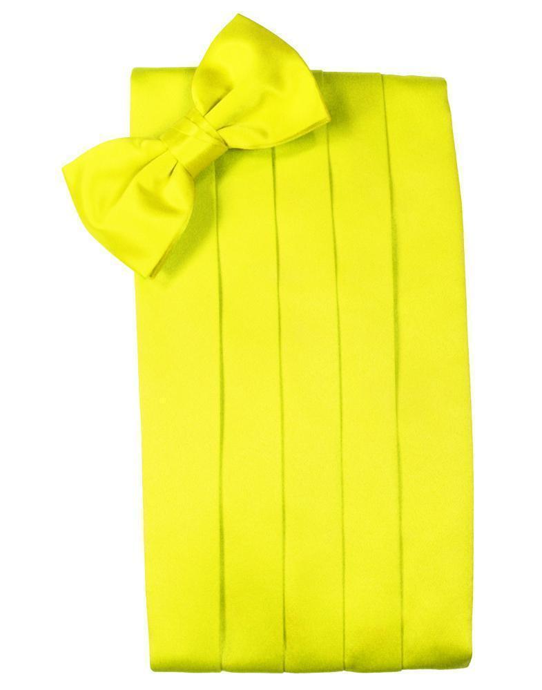 Set Luxury Satin Cummerbund & Bow Tie
