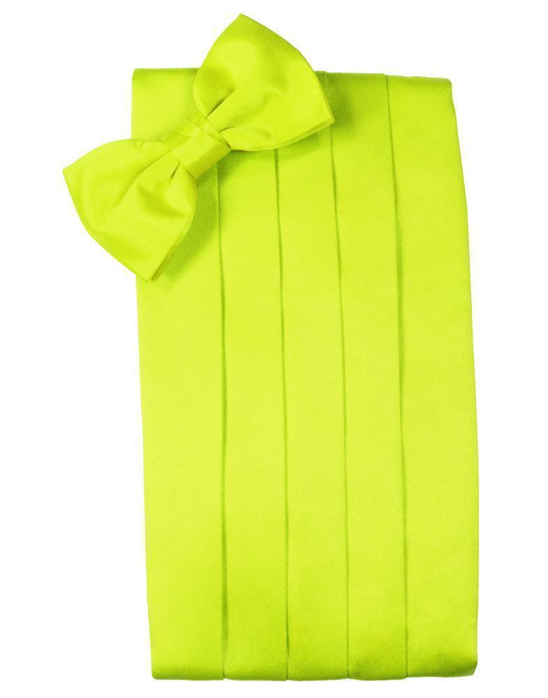 Set Luxury Satin Cummerbund & Bow Tie