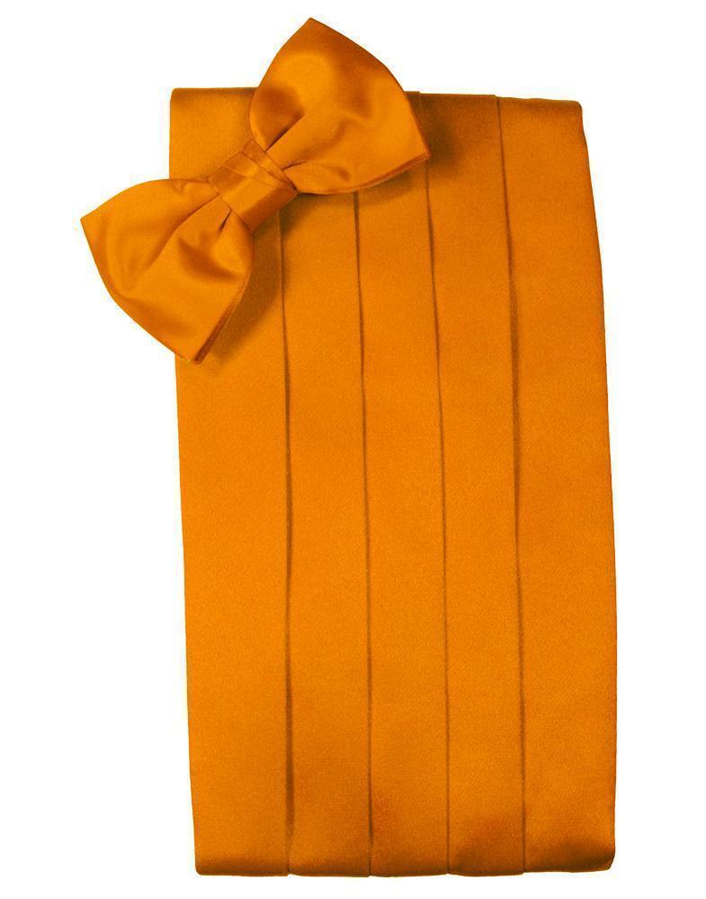 Set Luxury Satin Cummerbund & Bow Tie