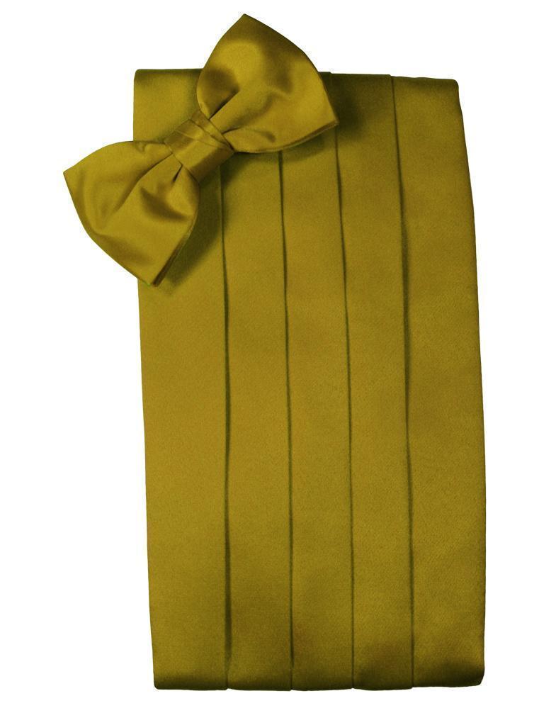 Set Luxury Satin Cummerbund & Bow Tie