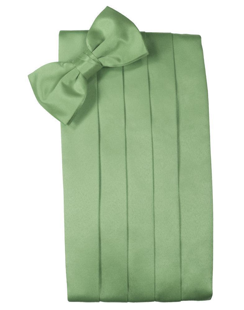 Set Luxury Satin Cummerbund & Bow Tie