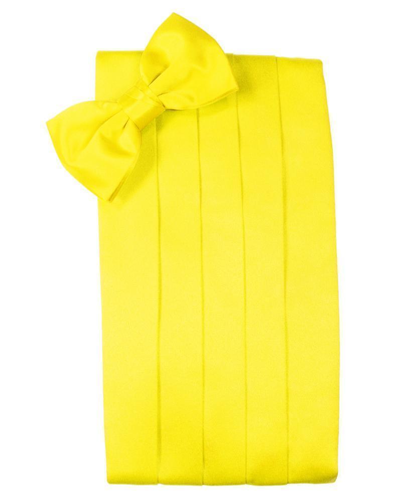Set Luxury Satin Cummerbund & Bow Tie