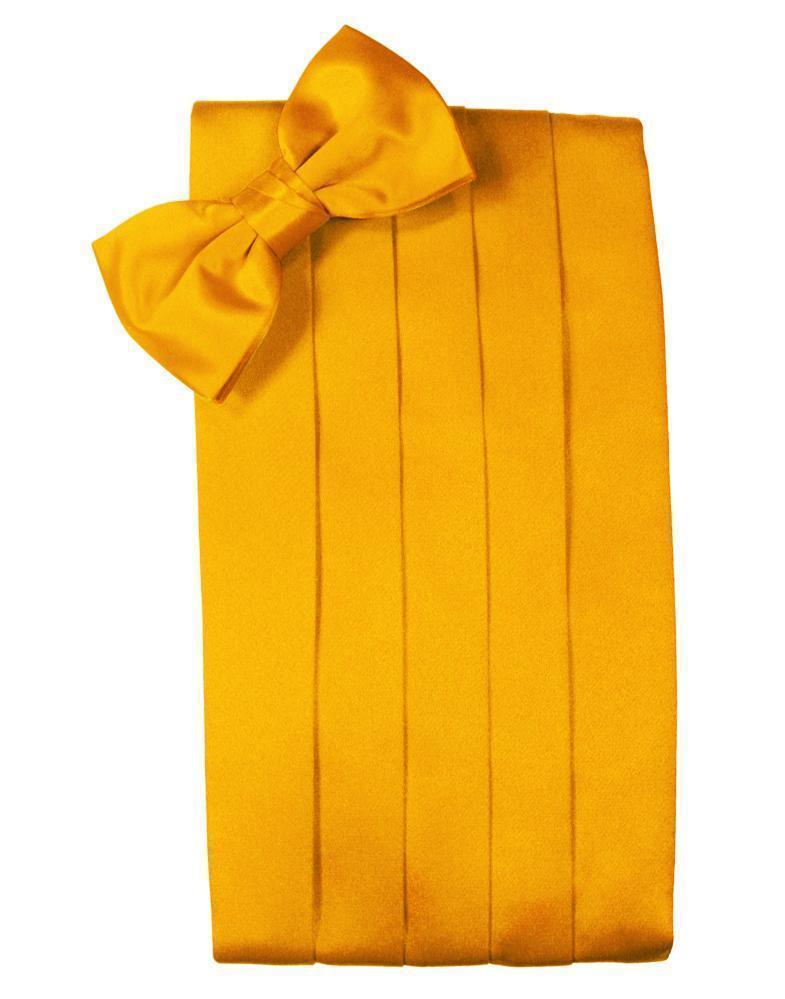 Set Luxury Satin Cummerbund & Bow Tie