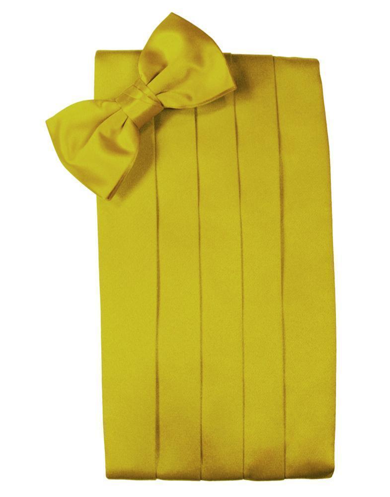 Set Luxury Satin Cummerbund & Bow Tie
