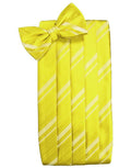 Set Striped Satin Cummerbund & Bow Tie-30