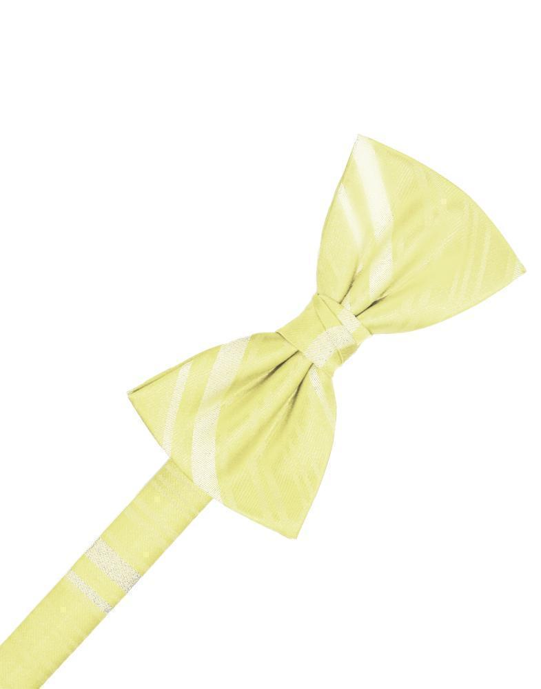 Striped Satin Bow Tie Pre-Tie-9