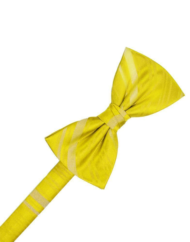 Striped Satin Bow Tie Pre-Tie-55