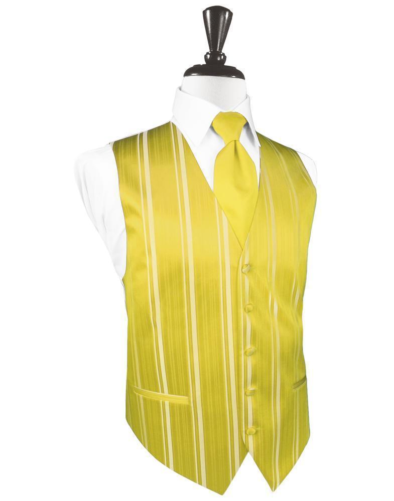 Striped Satin Tuxedo Vest 6-3