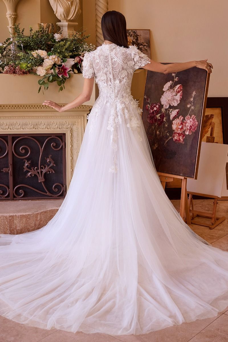 Two Looks In One Wedding Gown